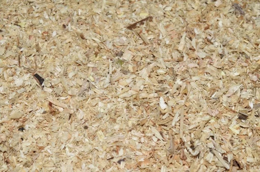 Ile trocin potrzeba na tonę pelletu? Obliczenia i optymalizacja produkcji